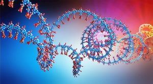 3d illustration of a ribonicleic acid chain from which the deoxyribonucleic acid or DNA is composed