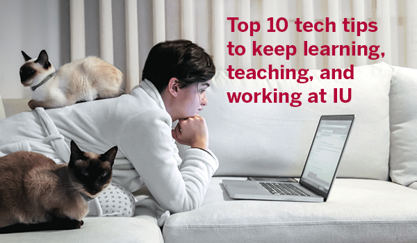 Top 10 tech tips to keep, learning, teaching, and working at IU