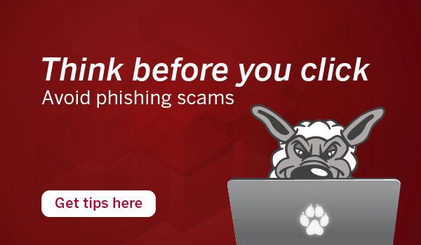Think before you click. Avoid phishing scams.