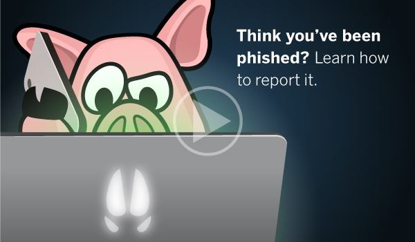 Think you've been phished? Learn how to report it.