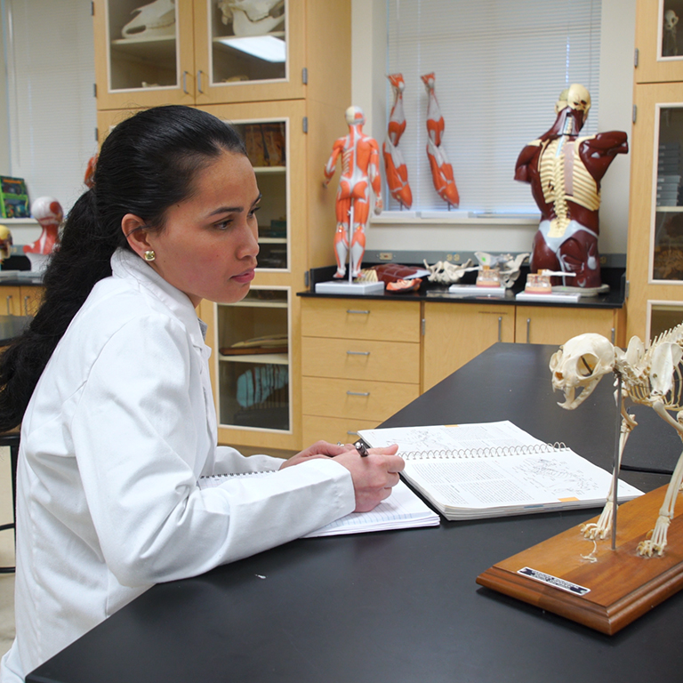A woman in a white lab coat looks at an animal skeleton