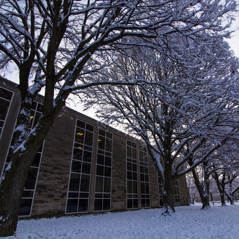 Snow-covered trees in front of a building