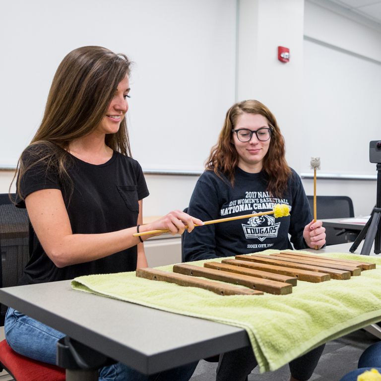 Two women play mallets
