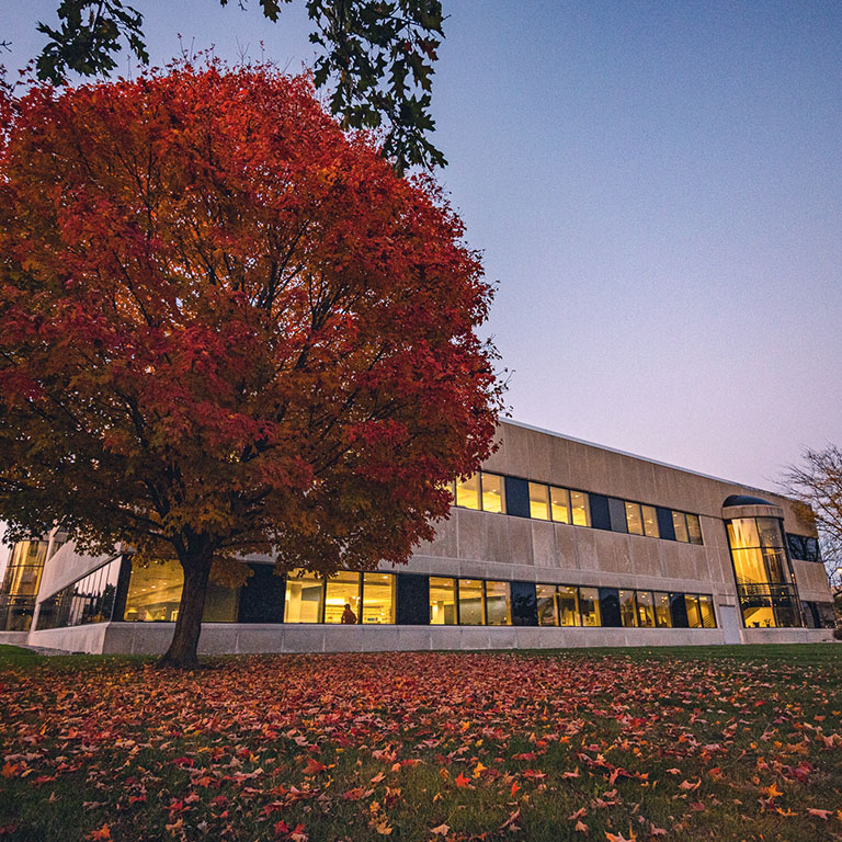 a tree with fall leaves in front of a limestone building