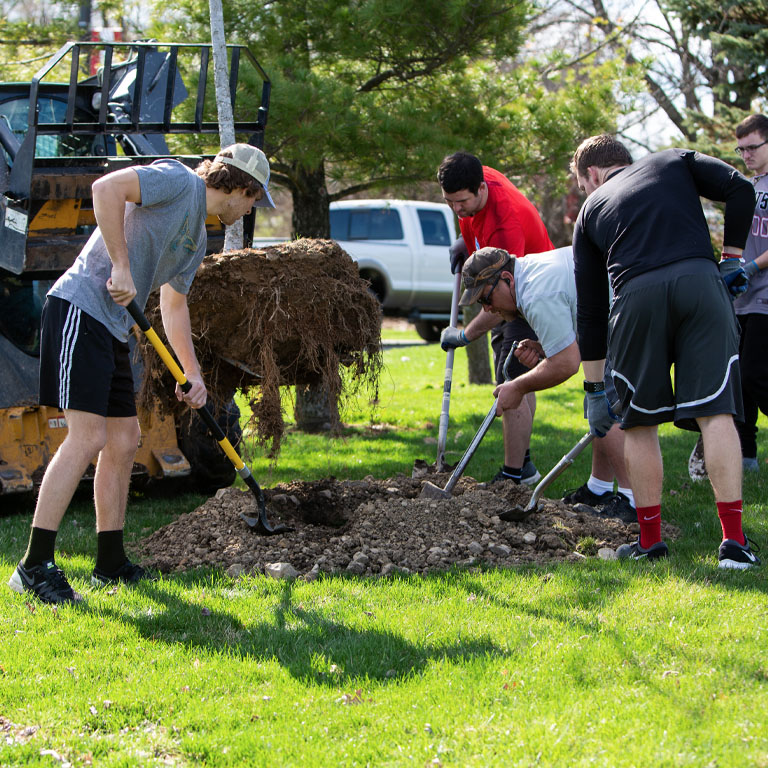 Four people dig a hole