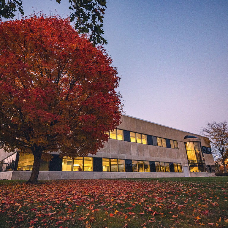 A building with fall leaves at sunset