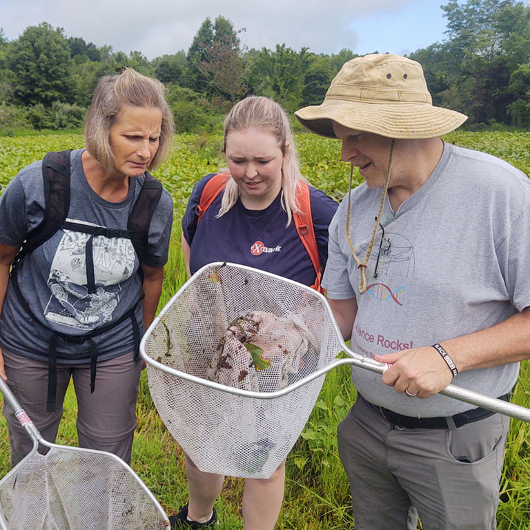 Two women and one man look into a net.