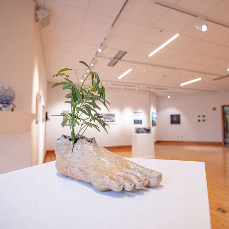 A white sculpture shaped like a foot sits on a table, with a plant growing out of it.