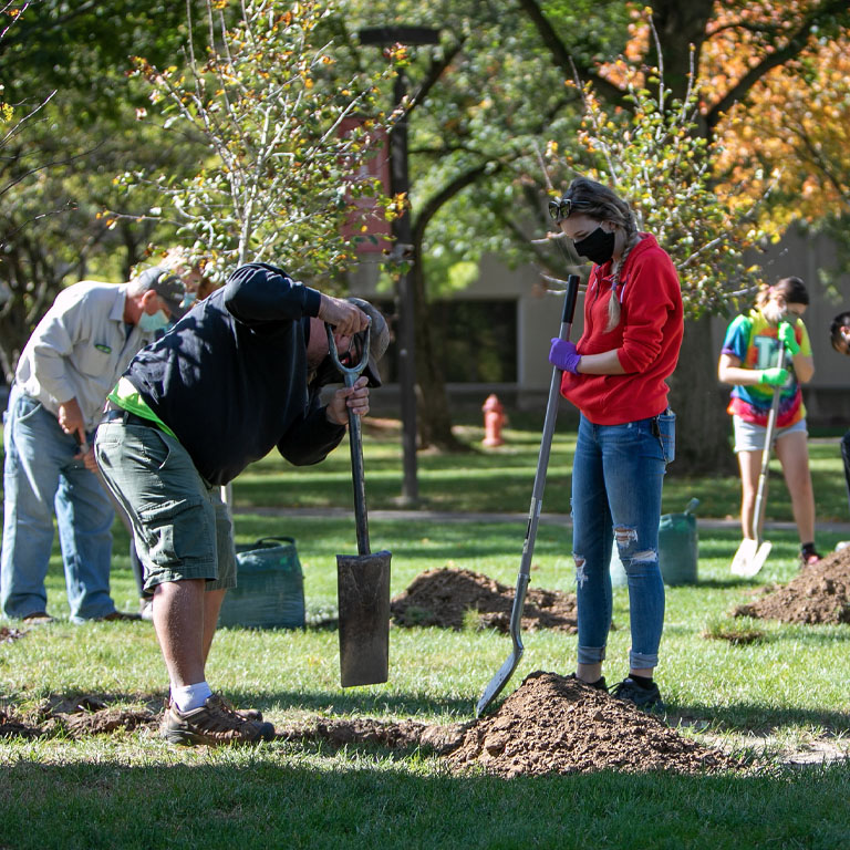 Four people plant trees