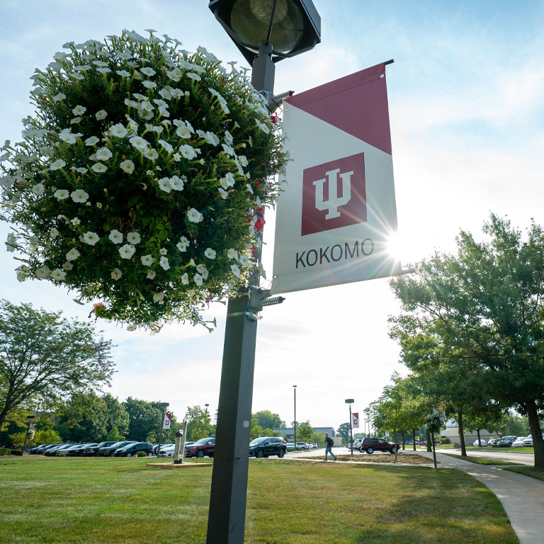 An IU banner behind a basket of white petunias