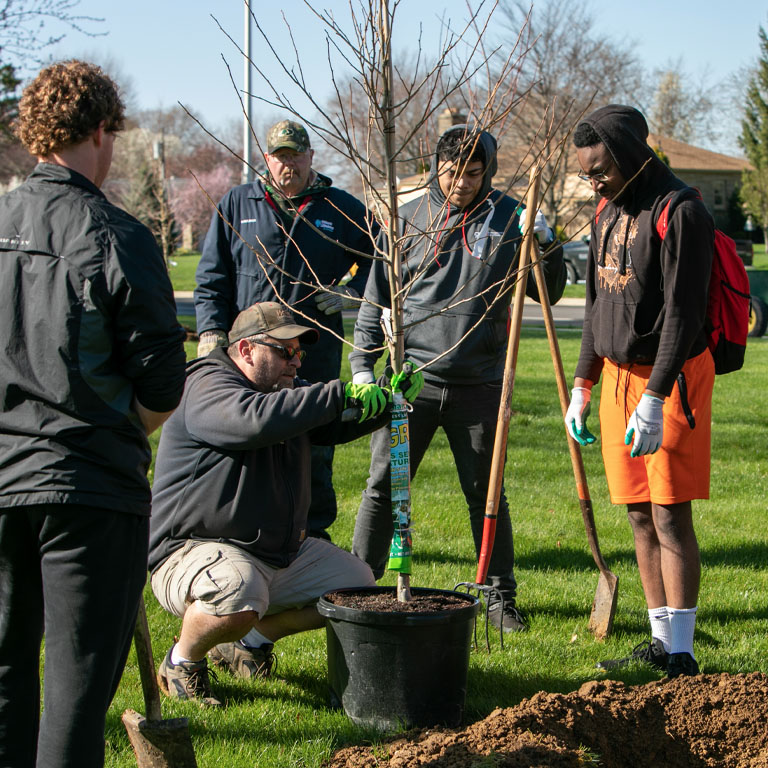A group of people plant a tree.