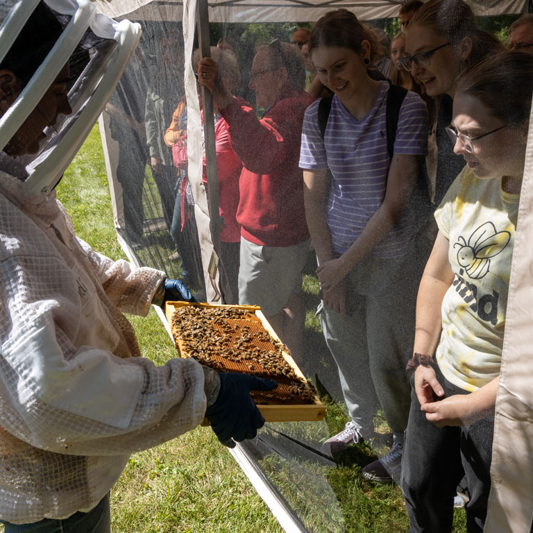 Three women standing behind a screen look at a frame of bees held by a woman in protective gear.