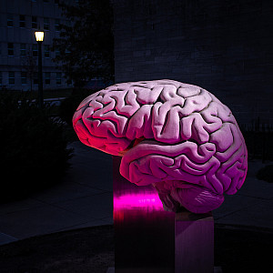 Brain outside of the College's Psychological & Brain Sciences building