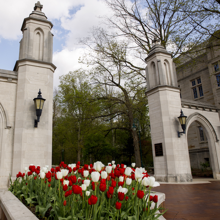 Tulips bloom in front of the Sample Gates on a spring afternoon at IU Bloomington on Friday, April 24, 2020.