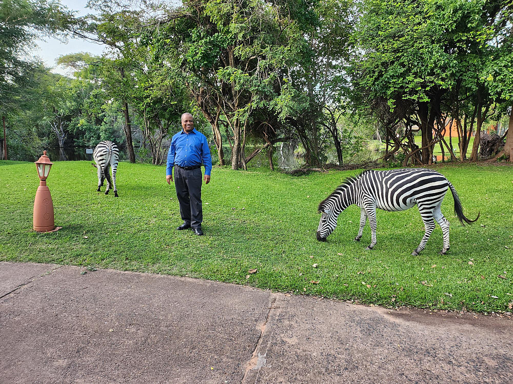 Pierre-Andre Jacinthe with Zebras