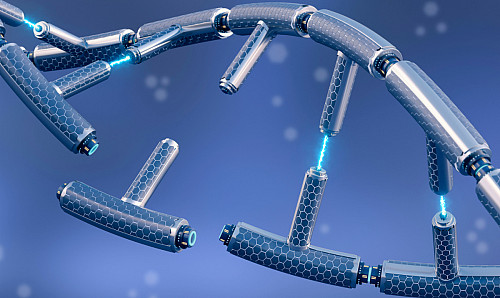 Jing's research suggests that chromatin plays a role in DNA repair.