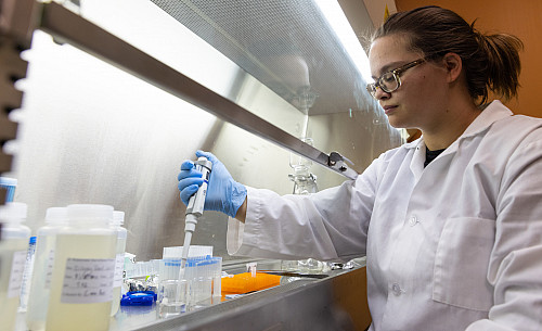 Student Rachel Clark prepares water samples for analysis at IU Bloomington on Monday, Nov. 28, 2022. (Photo by Chris Meyer/Indiana Univer...