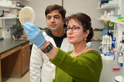 Huda Salman, MD, PhD, and Niaz Muhammad, PhD, MPHIL. Dr. Salman is director of the Brown Center for Immunotherapy. 