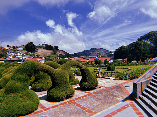 Students visited the Topiary Gardens in Zarcero, Costa Rica. 