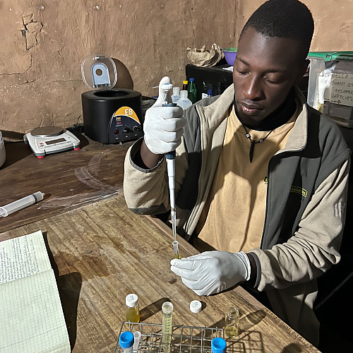 Daniella Chusyd's research assistant, located in Kafue National Park in western Zambia, preserves urine samples from elephants for f...