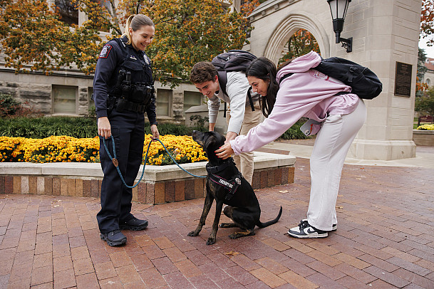 Honey, IUPD's therapy dog, greets people at the Sample Gates at IU Bloomington. Photo by James Brosher, Indiana University