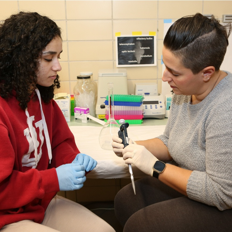 In an Indiana University Northwest lab, Maha Alshamaileh (left) works alongside Dr. Maureen Rutherford (right).