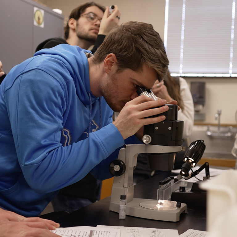 Student looking through microscope