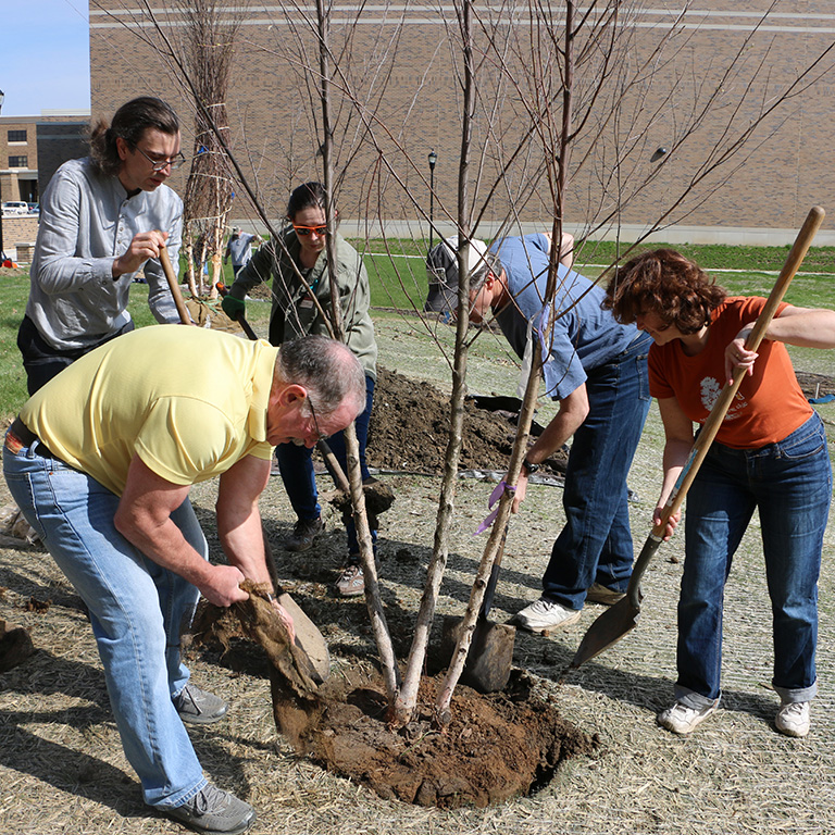 IU East faculty, staff and students, holding shovels and working together to plant new trees