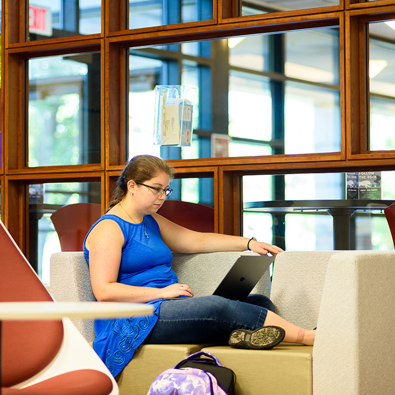 Student sitting sideways on sofa, looking down at their laptop