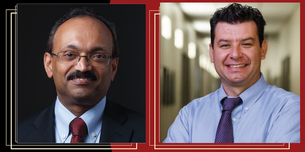 Mathew Palakal and Davide Bolchini