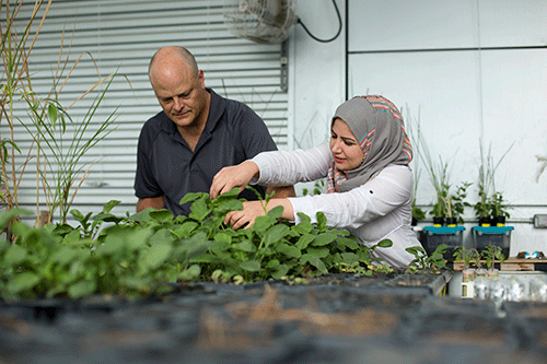 A student and faculty member do research in a botany lab.